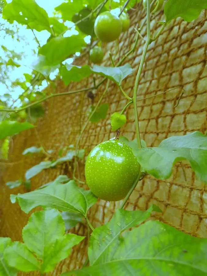 Holiday home Seashore Residency Kochi