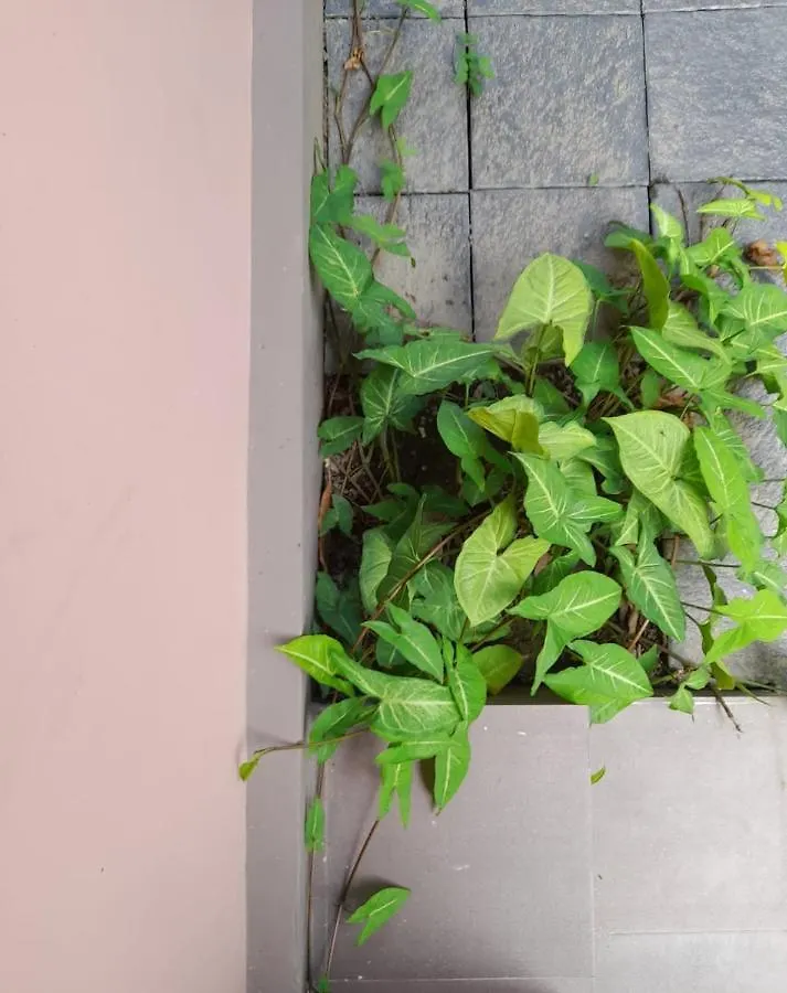 Seashore Residency Kochi Holiday home
