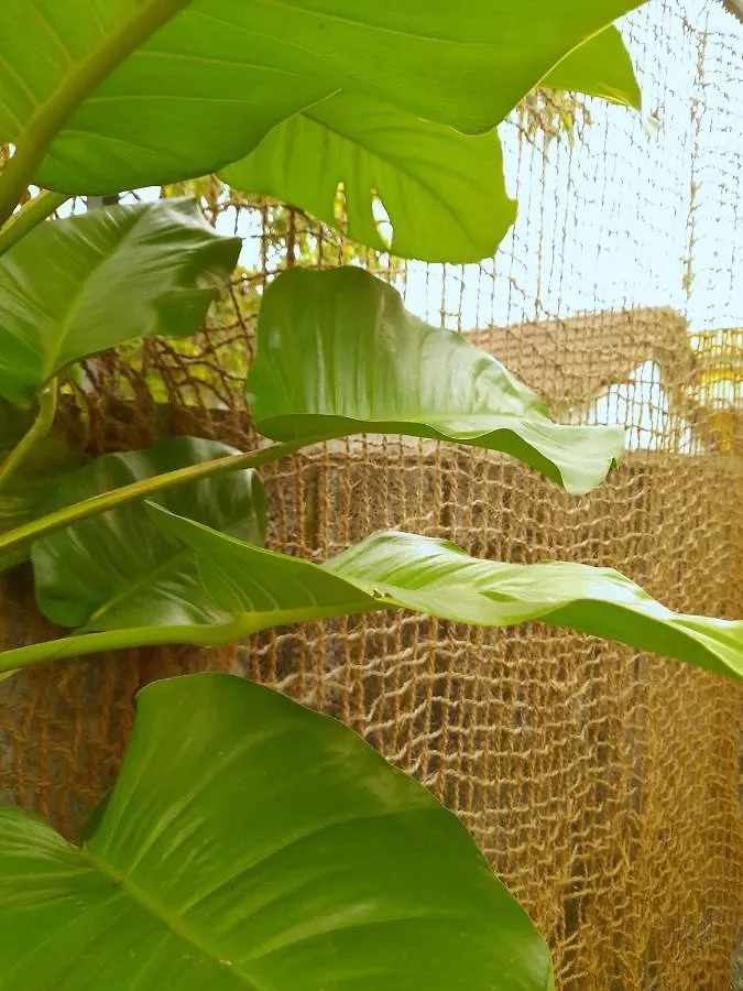 Seashore Residency Kochi