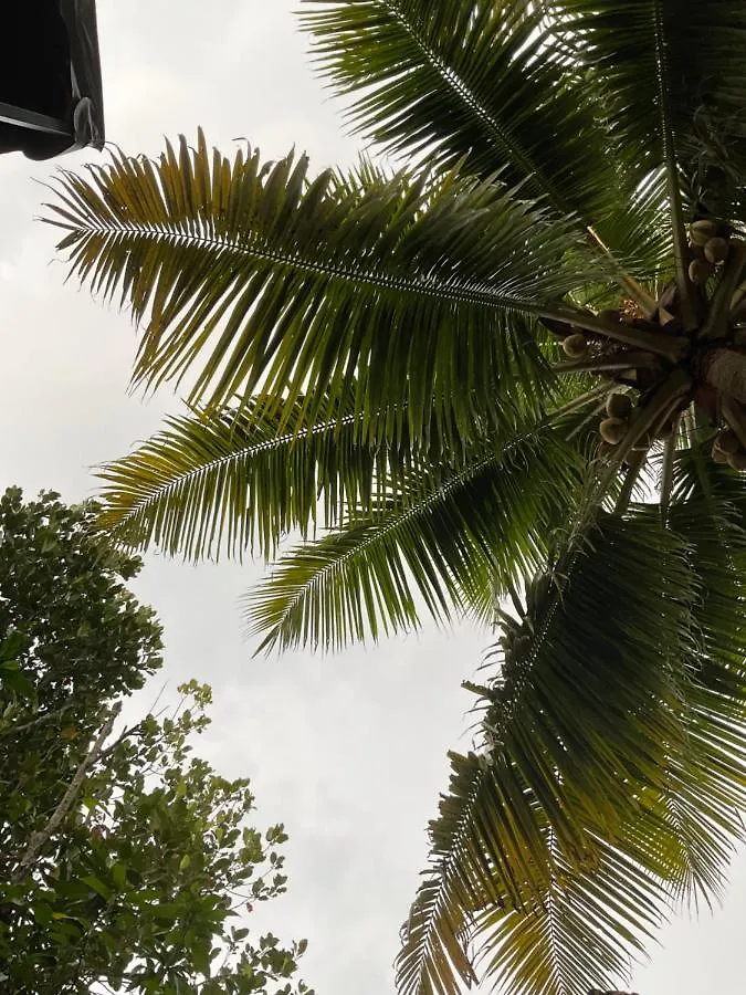 Seashore Residency Kochi India
